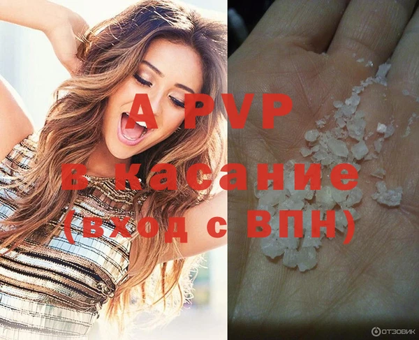 эйфоретик Лабытнанги